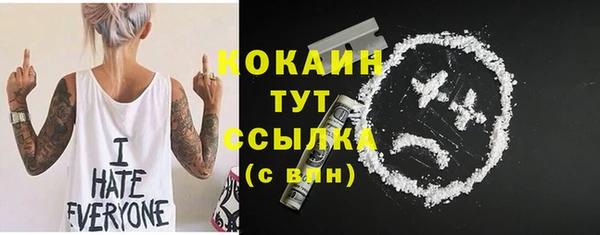 шишки Сосновый Бор