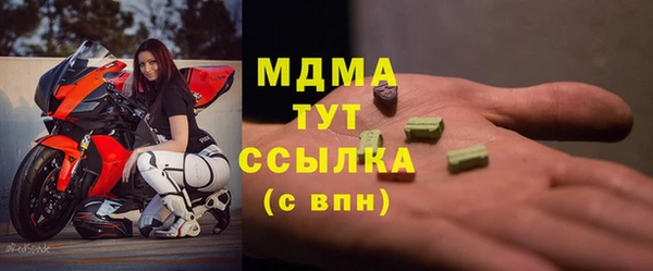 шишки Сосновый Бор