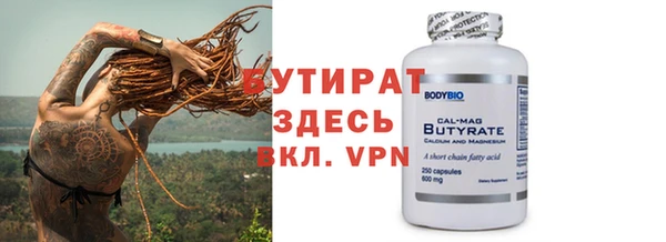 шишки Сосновый Бор
