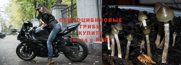 дурь Сосновка