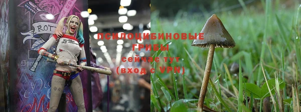 дурь Сосновка