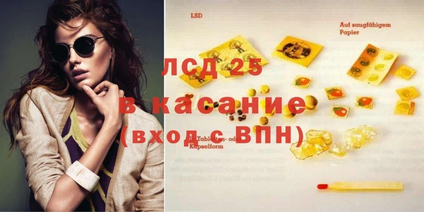 шишки Сосновый Бор
