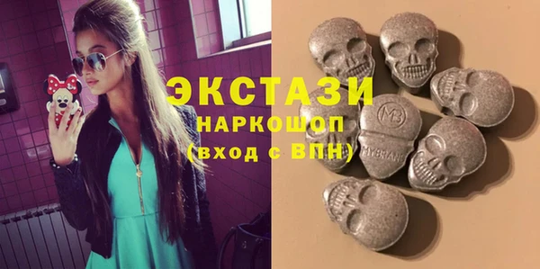 шишки Сосновый Бор